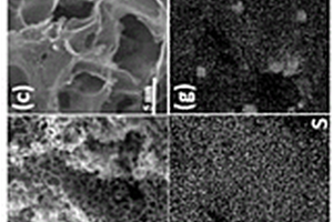 多孔碳/硫化亞鐵復(fù)合材料及其制備方法和應(yīng)用
