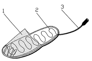 鞋用電熱內(nèi)膽