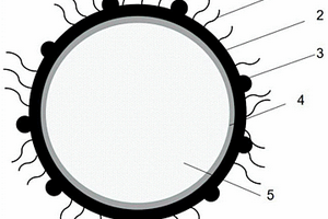 三維包覆硅基負(fù)極材料及其制備方法
