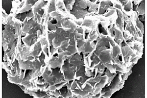 鋰電池正極花團(tuán)狀氟化石墨烯的制備方法