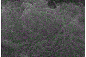 納米級碳硫復(fù)合材料及其制備方法