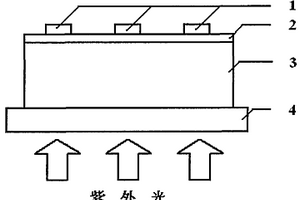 基于NPB和BND的紫外光探測器