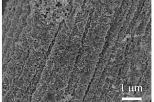 LiFe<Sub>X</Sub>Co<Sub>1-X</Sub>PO<Sub>4</Sub>/N-C/CC復合材料的制備方法