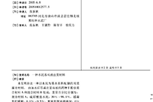 水泥基雙液注漿材料