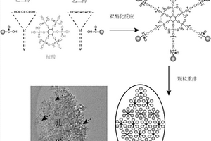 基于核心分子的分子組裝超級(jí)結(jié)構(gòu)材料、制備方法與應(yīng)用