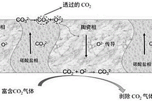 以陶瓷材料為支撐體的陶瓷-碳酸鹽致密雙相無(wú)機(jī)膜