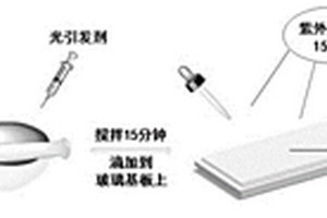 新型凝膠電解質(zhì)及在全固態(tài)電致變色器件中的應用