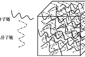 互穿網(wǎng)絡結構層和原位制備的方法及其應用