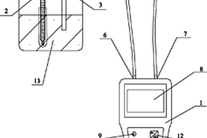 手持式雙電極氯離子含量測定儀