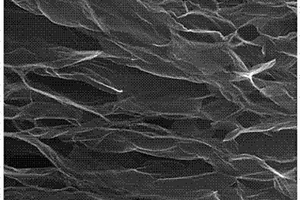 氮摻雜碳化鉬/石墨烯復合材料的制備方法及應用