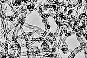 多壁碳納米管及其制備方法和應(yīng)用