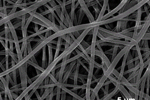 具有氮摻雜介孔碳修飾的二氧化鈦納米纖維的制備