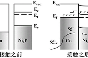 負(fù)載Ni2P-Co肖特基節(jié)活性位點(diǎn)海膽狀碳材料電催化劑、制備方法及其應(yīng)用