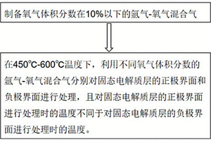 固態(tài)電解質(zhì)層兩側(cè)表面差異化改性方法及裝置