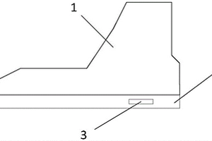 驅(qū)蚊鞋