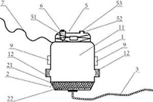 用于環(huán)境檢測(cè)的新型深水取樣裝置
