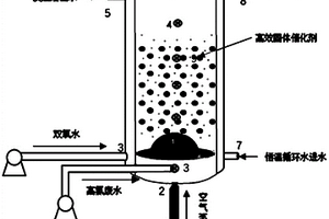 針對(duì)高鹽難降解廢水的高效異相類芬頓反應(yīng)器