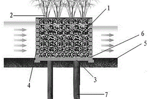 處理水產(chǎn)養(yǎng)殖廢水的組合填料濾壩結(jié)構(gòu)