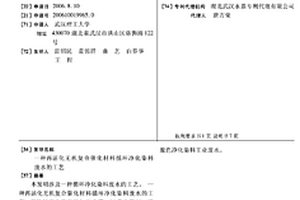 再活化無機復合催化材料循環(huán)凈化染料廢水的工藝