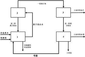 分離含鹽廢水中一價(jià)鹽和二價(jià)鹽的方法和系統(tǒng)