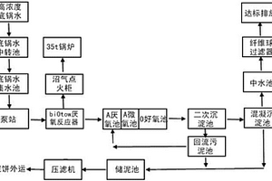 白酒工業(yè)廢水處理工藝