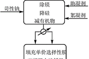 地表水脫鹽裝置副產(chǎn)含鹽廢水的處理方法