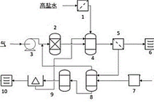 高鹽廢水和電石渣資源化利用耦合二氧化碳減排的生產(chǎn)線