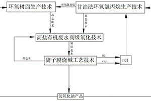 利用環(huán)氧氯丙烷生產(chǎn)過程中產(chǎn)生的高鹽有機廢水用以生產(chǎn)離子膜燒堿的方法