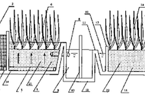 高效廢水生態(tài)處理裝置及其方法