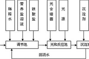 光合細(xì)菌處理脂肪酸廢水生產(chǎn)菌體蛋白方法