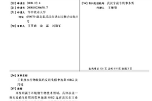 工業(yè)廢水生物脫氮的反硝化假單胞菌SH12及用途