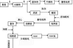 薯蕷皂素生產(chǎn)廢水處理方法及聯(lián)產(chǎn)GSH和SAM的新工藝