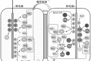 基于差別化控制的廢水成對(duì)電解處理的方法