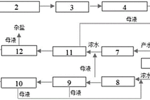 高鹽廢水處理及資源化系統(tǒng)