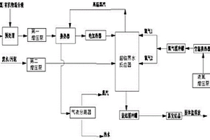 以煤、有機(jī)物為原料的廢水、污泥處理系統(tǒng)及方法