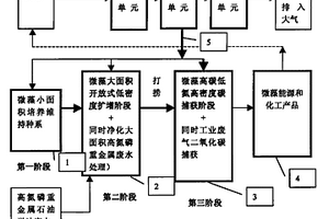 光合自氧微生物的工業(yè)化培養(yǎng)的方法和裝置