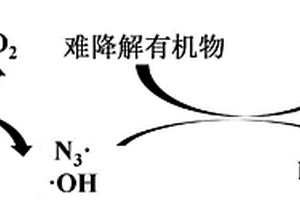 疊氮化鈉在降解有機物中的應(yīng)用及臭氧處理有機廢水方法