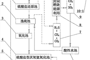 燃硫法味精廢水處理工藝