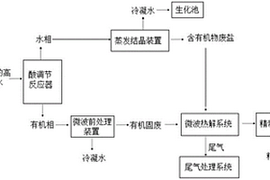 用于含苯酚鈉的高鹽有機廢水無害化處理裝置