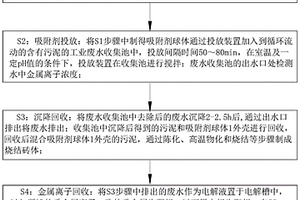 工業(yè)廢水中重金屬離子去除工藝