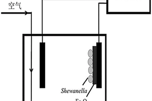 Shewanella驅(qū)動(dòng)電芬頓反應(yīng)處理高濃度工業(yè)污水的方法