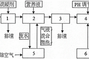 精煉制糖工業(yè)廢水處理裝置和方法