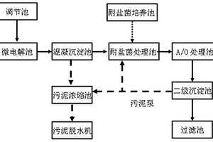 處理高鹽、難生物降解、有毒的工業(yè)廢水處理裝置及工藝