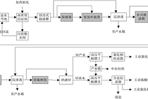 高含鹽工業(yè)廢水處理裝置