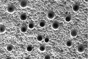 用于有機(jī)工業(yè)廢水深度處理的多孔PbO2電極的制備方法