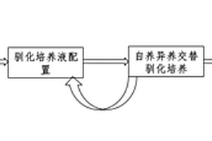 自養(yǎng)異養(yǎng)交替混合培養(yǎng)的苦鹽水微綠藻及其在苦咸工業(yè)廢水處理中的應(yīng)用