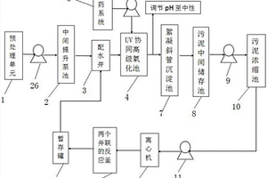 工業(yè)廢水中高濃度COD的連續(xù)式處理系統(tǒng)及處理工藝