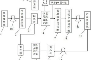 工業(yè)廢水中高濃度COD的連續(xù)式處理系統(tǒng)