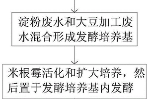 利用淀粉廢水、大豆加工廢水發(fā)酵生產(chǎn)乳酸的方法