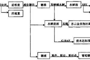 從黃姜加工到廢水處理一體化工藝